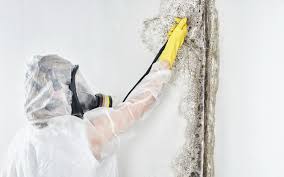 Best Water Damage & Mold Remediation  in Linden, NJ